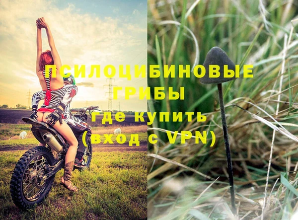 герыч Артём