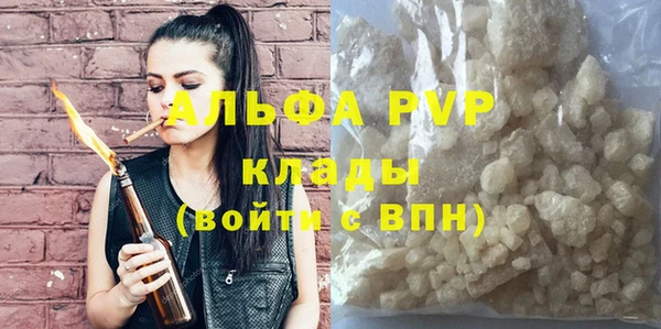 ПСИЛОЦИБИНОВЫЕ ГРИБЫ Бердск