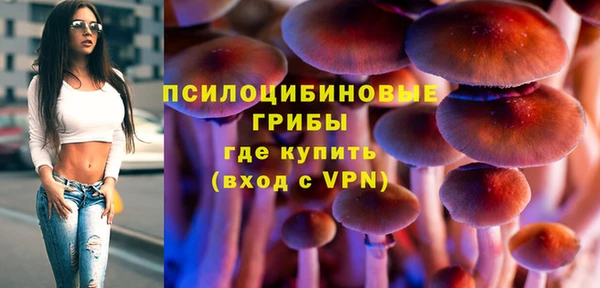 соль курить ск Белокуриха