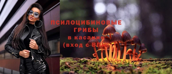 соль ск Ачинск